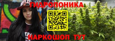 крисы Будённовск