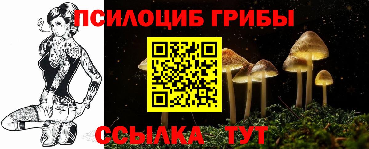 Галлюциногенные грибы Psilocybine cubensis  Псилоцибиновые грибы MAGIC MUSHROOMS  Кумертау  где купить наркотик  Вход с VPN 